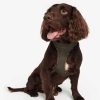 Accessories Barbour Collars & Harnesses | Comfort Dog Harness