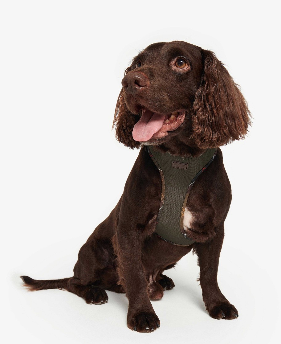 Accessories Barbour Collars & Harnesses | Comfort Dog Harness