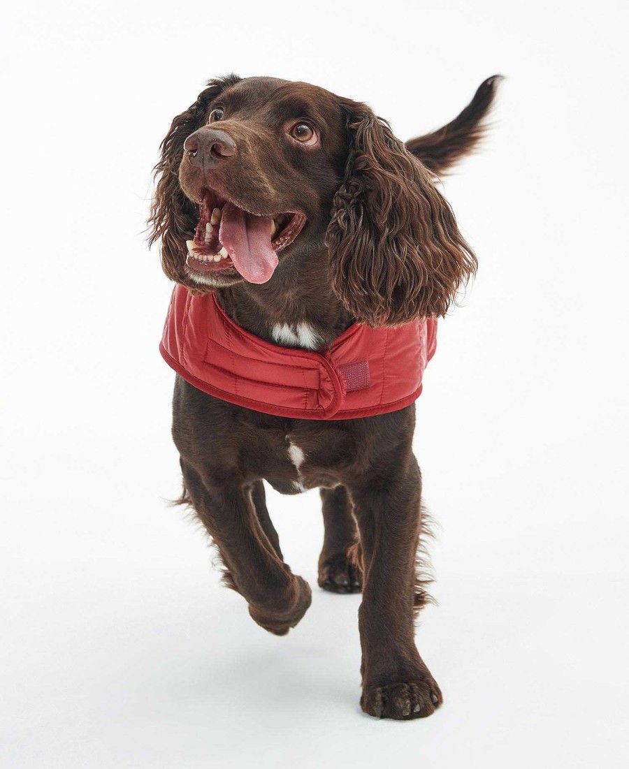 Accessories Barbour Coats | Baffle Quilted Dog Coat