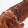 Accessories Barbour Collars & Harnesses | Travel And Exercise Harness