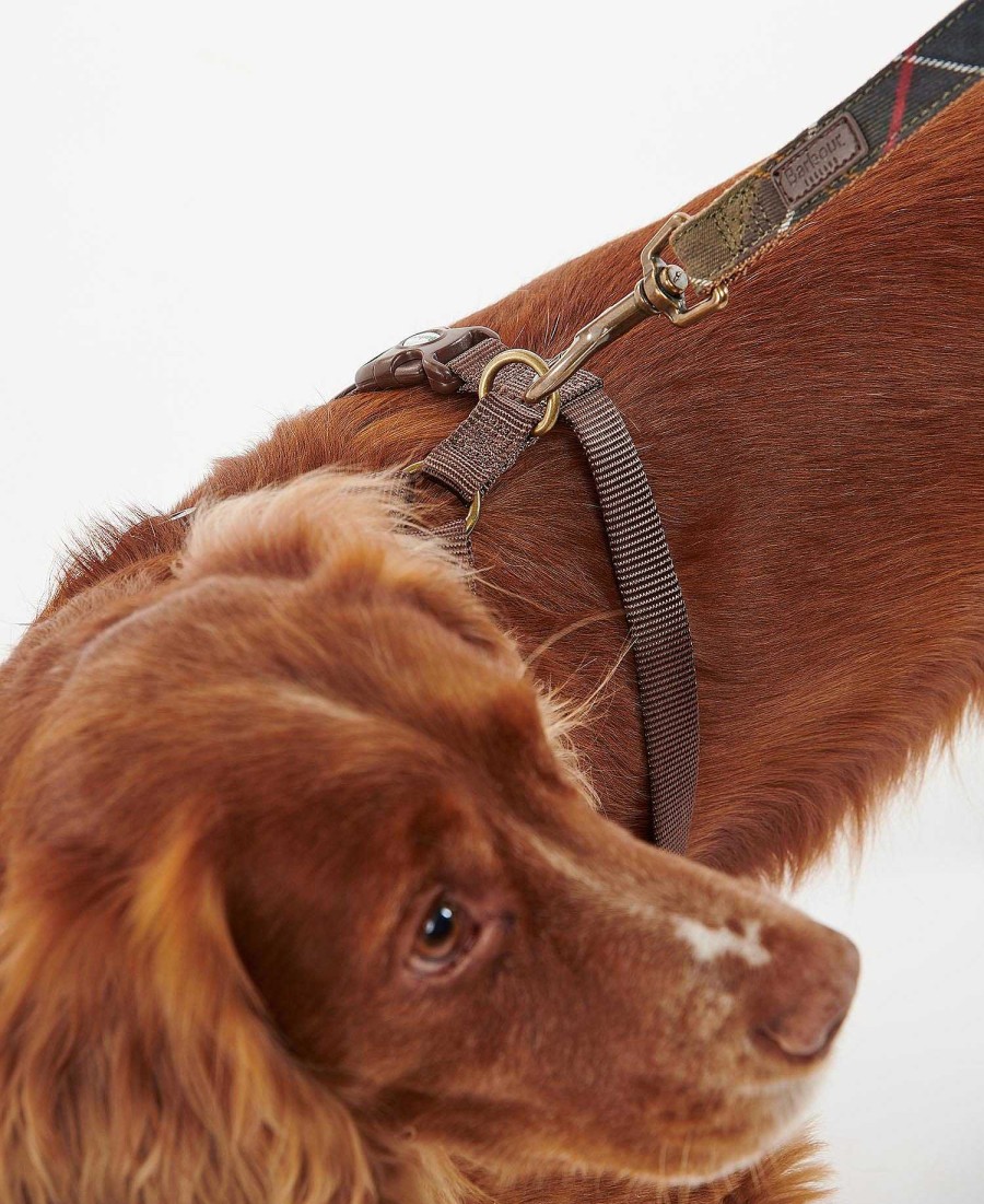 Accessories Barbour Collars & Harnesses | Travel And Exercise Harness