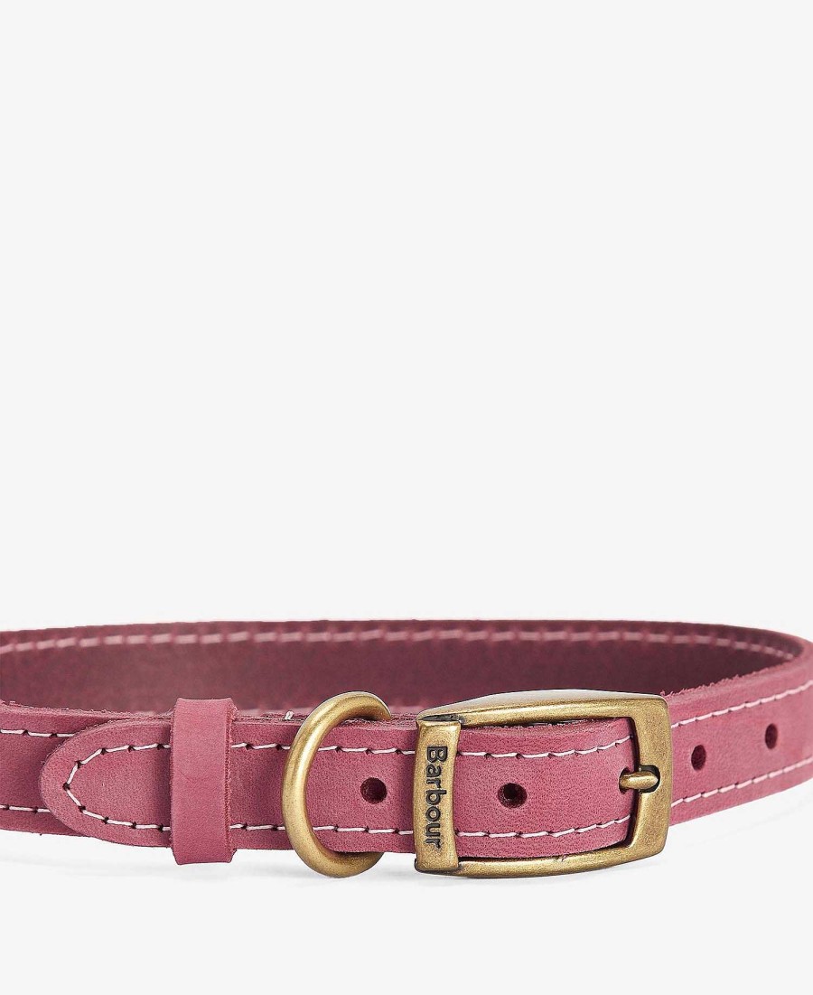 Accessories Barbour Collars & Harnesses | Leather Dog Collar