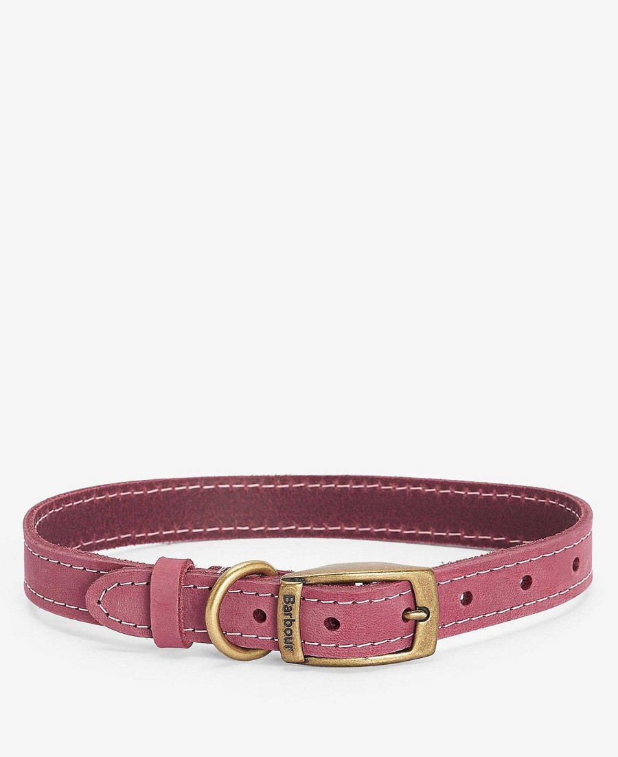 Accessories Barbour Collars & Harnesses | Leather Dog Collar