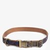 Accessories Barbour Collars & Harnesses | Tartan/Webbing Collar