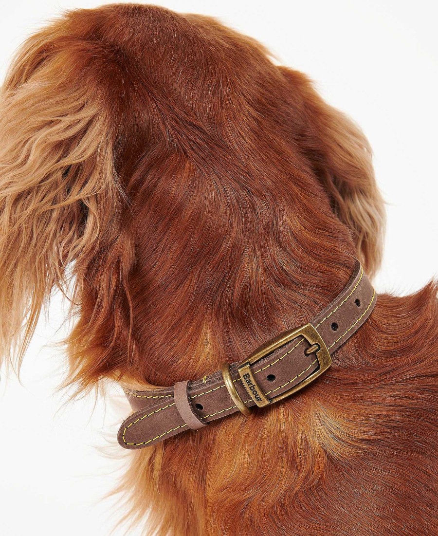 Accessories Barbour Collars & Harnesses | Leather Dog Collar