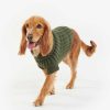 Accessories Barbour Coats | Saltburn Dog Jumper