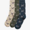 Accessories Barbour Socks | Pointer Dog Socks Gift Box