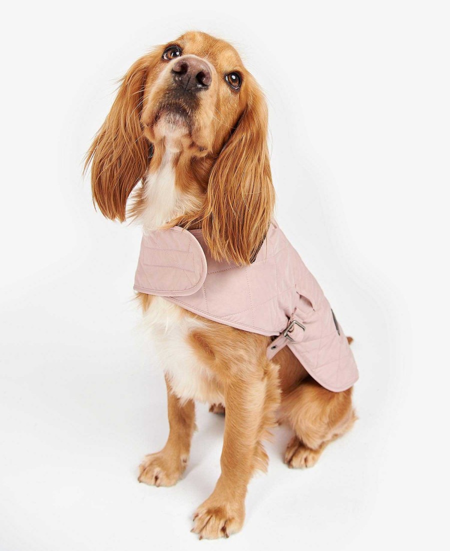 Accessories Barbour Coats | Quilted Dog Coat