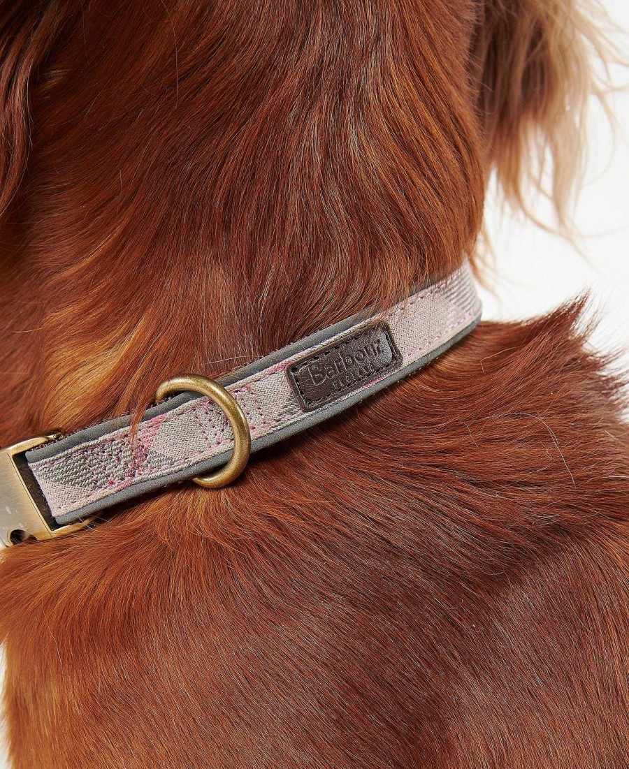 Accessories Barbour Collars & Harnesses | Reflective Tartan Dog Collar