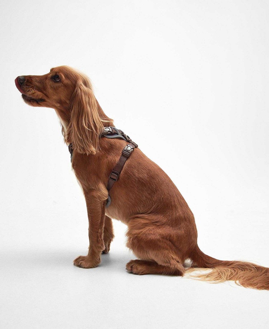 Accessories Barbour Collars & Harnesses | Adjustable Tartan Harness