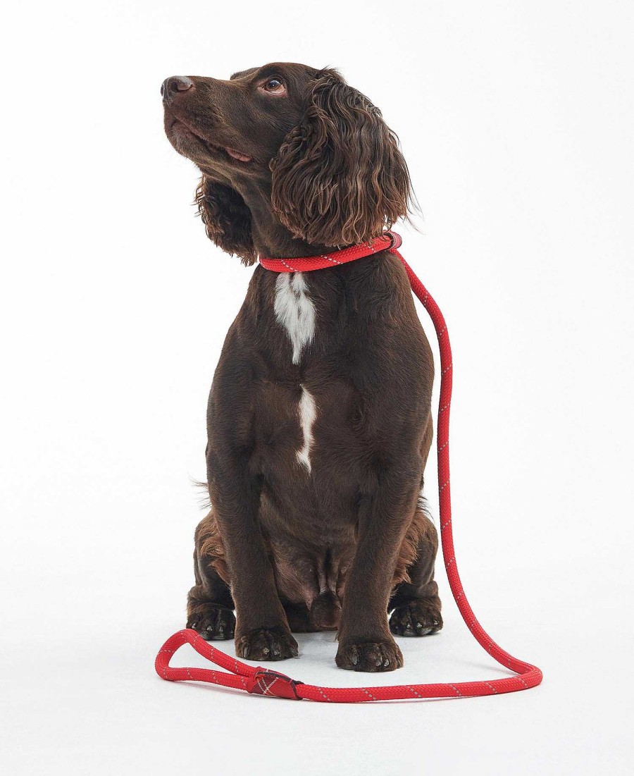 Accessories Barbour Leads | Reflective Slip Dog Lead