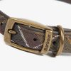 Accessories Barbour Collars & Harnesses | Tartan Dog Collar