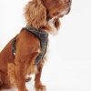 Accessories Barbour Collars & Harnesses | Tartan Dog Harness