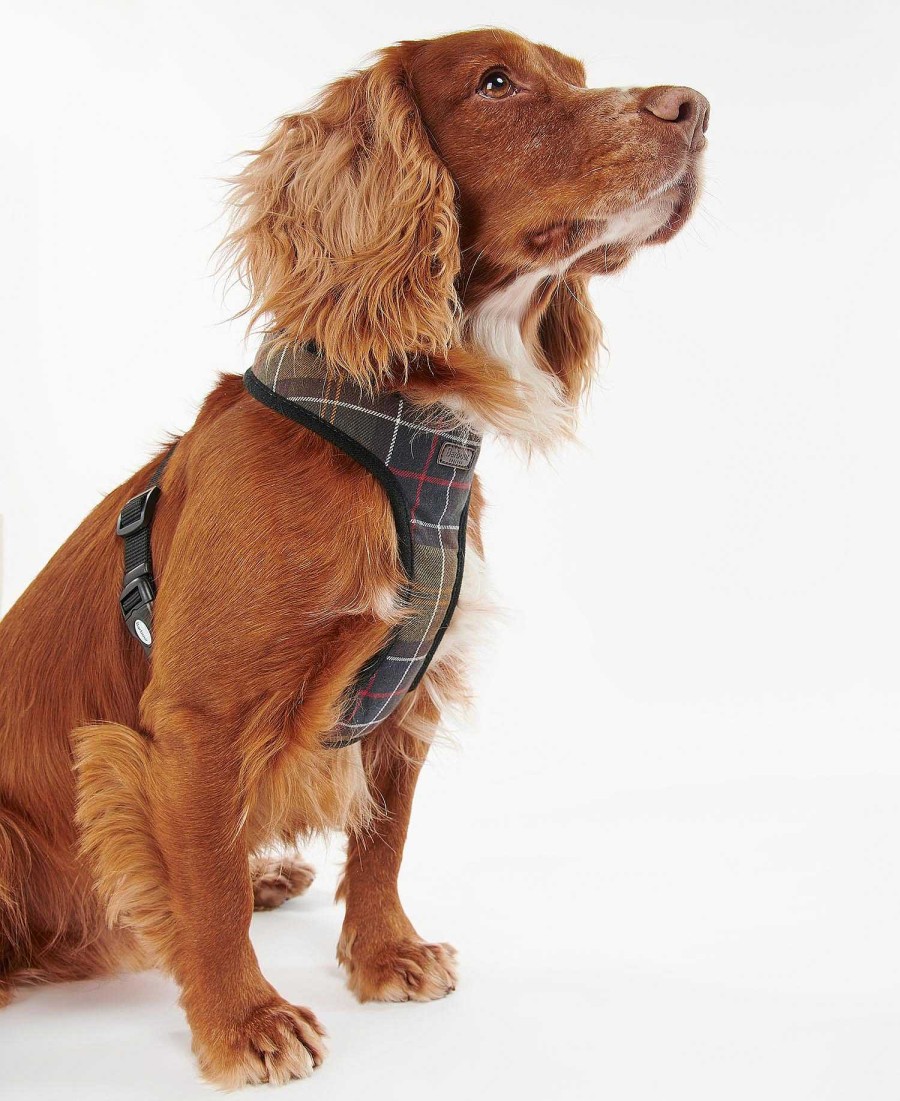 Accessories Barbour Collars & Harnesses | Tartan Dog Harness