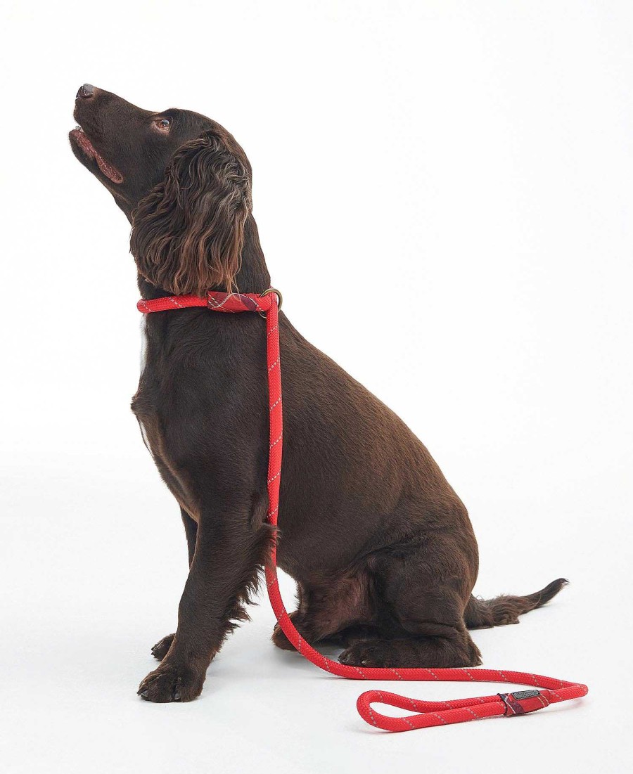 Accessories Barbour Leads | Reflective Slip Dog Lead