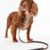 Accessories Barbour Leads | Reflective Tartan Dog Lead