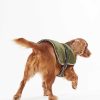 Accessories Barbour Coats | Monmouth Waterproof Dog Coat